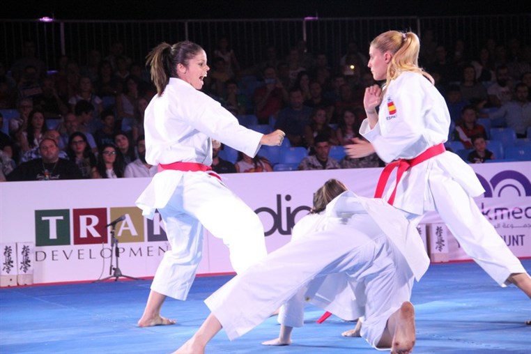 Martial Arts Festival